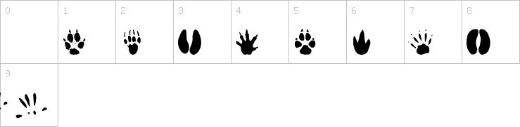 Numbers