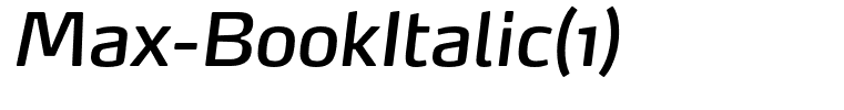 Max-BookItalic(1)