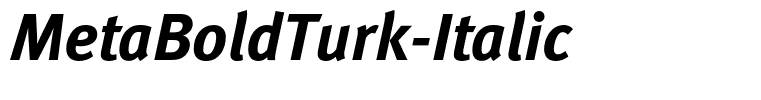 MetaBoldTurk-Italic