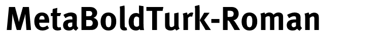 MetaBoldTurk-Roman