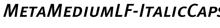 MetaMediumLF-ItalicCaps