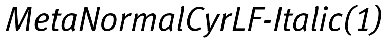 MetaNormalCyrLF-Italic(1)