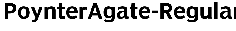 PoynterAgate-RegularThree