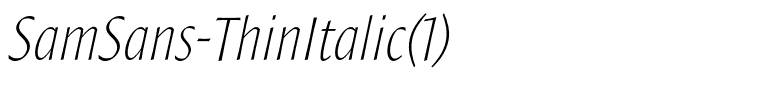 SamSans-ThinItalic(1)
