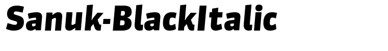 Sanuk-BlackItalic