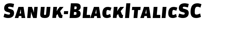 Sanuk-BlackItalicSC