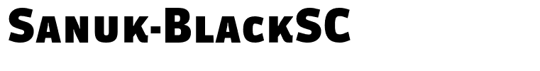 Sanuk-BlackSC