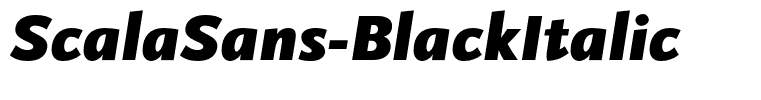 ScalaSans-BlackItalic