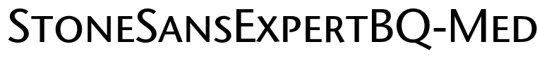StoneSansExpertBQ-Medium