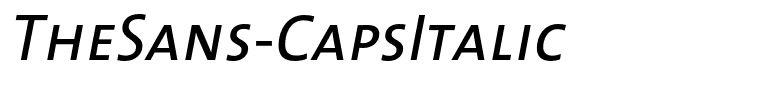 TheSans-CapsItalic