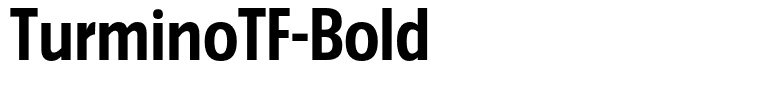 TurminoTF-Bold