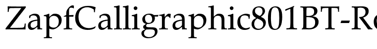 ZapfCalligraphic801BT-Roman(1)