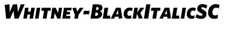 Whitney-BlackItalicSC