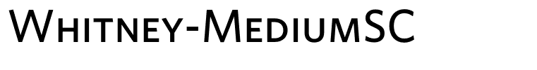 Whitney-MediumSC