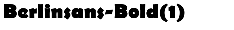 Berlinsans-Bold(1)