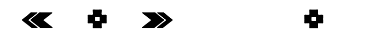 Berlinsans-BoldDingbats(1)