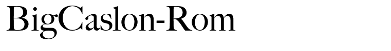 BigCaslon-Rom