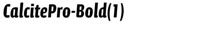 CalcitePro-Bold(1)