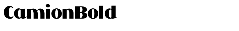CamionBold