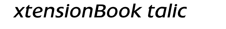ExtensionBookItalic