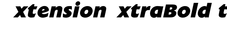 ExtensionExtraBoldItalic