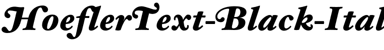HoeflerText-Black-Italic-Swash