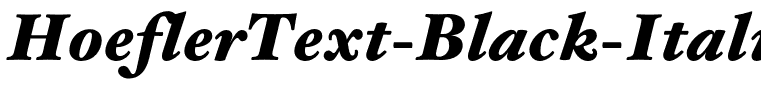 HoeflerText-Black-Italic