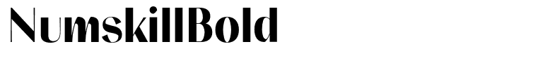 NumskillBold