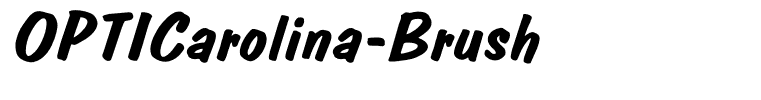 OPTICarolina-Brush