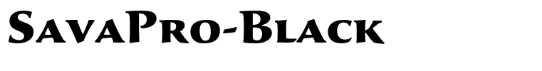 SavaPro-Black