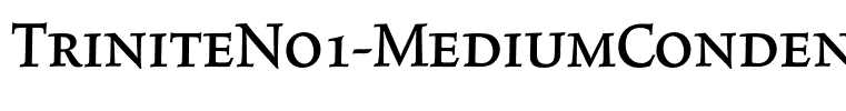 TriniteNo1-MediumCondensedExp