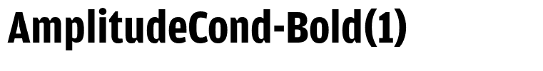 AmplitudeCond-Bold(1)