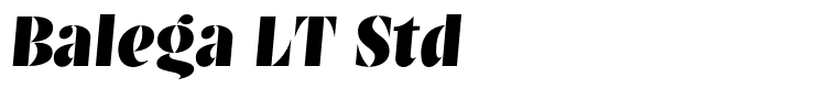 Balega LT Std