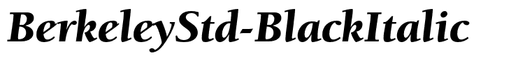 BerkeleyStd-BlackItalic