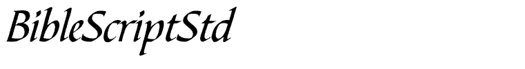 BibleScriptStd
