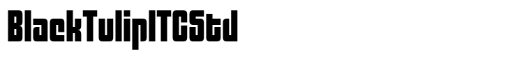 BlackTulipITCStd