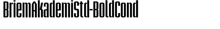 BriemAkademiStd-BoldCond