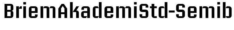 BriemAkademiStd-Semibold