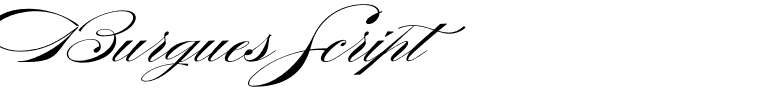 Burgues Script
