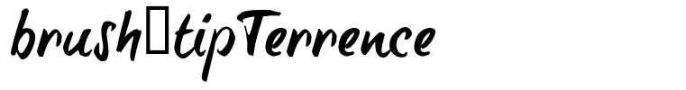 brush-tipTerrence