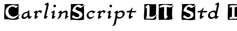 CarlinScript LT Std Initials
