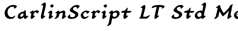 CarlinScript LT Std MediumIt