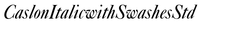 CaslonItalicwithSwashesStd