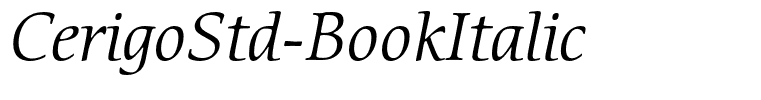 CerigoStd-BookItalic