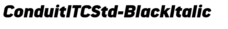 ConduitITCStd-BlackItalic