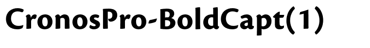 CronosPro-BoldCapt(1)