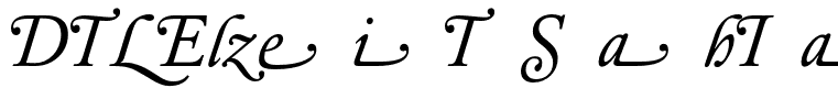 DTLElzevirT-SwashItalic