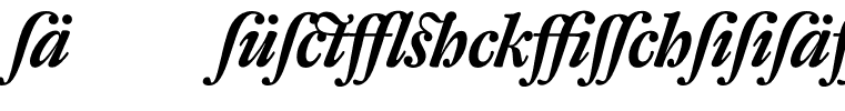 DTLFleischmannDisplay-BoldItalicLigatures