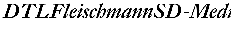 DTLFleischmannSD-MediumItalic