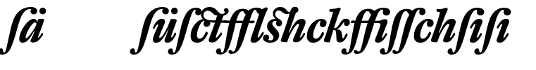 DTLFleischmannT-AltBoldItalic